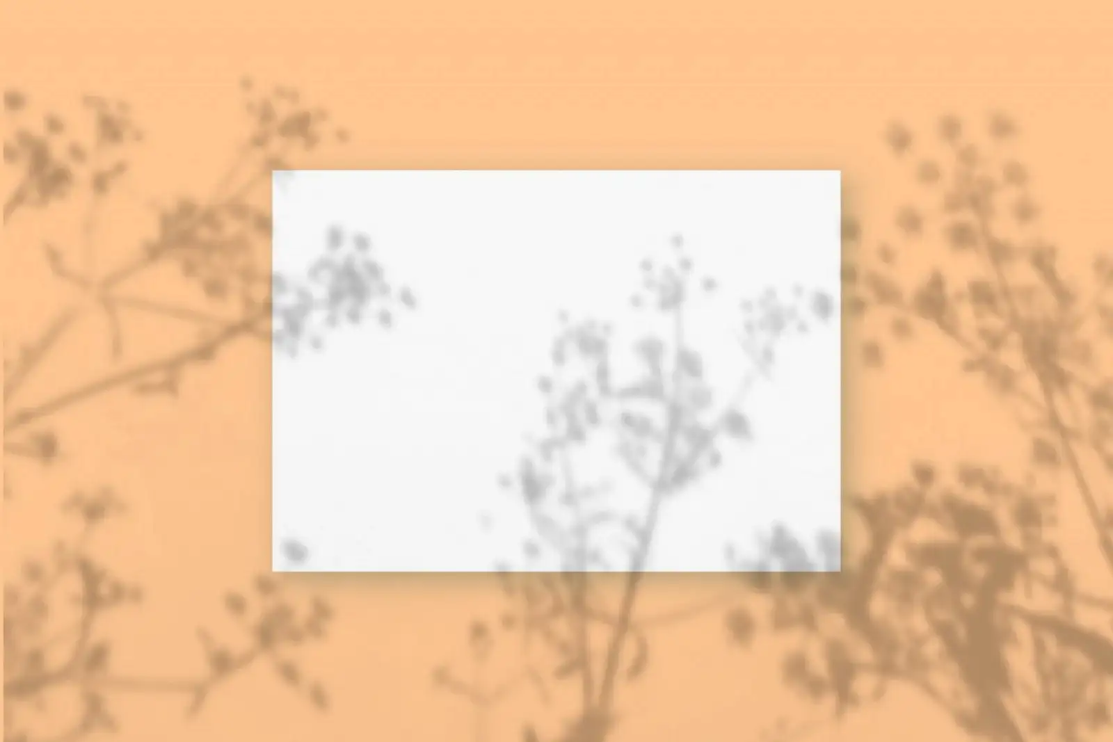 Natural light casts shadows from the plant on a rectangular sheet of white textured A4 paper lying on a beige textured background. Mockup.